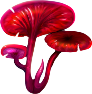 Nyxshroom