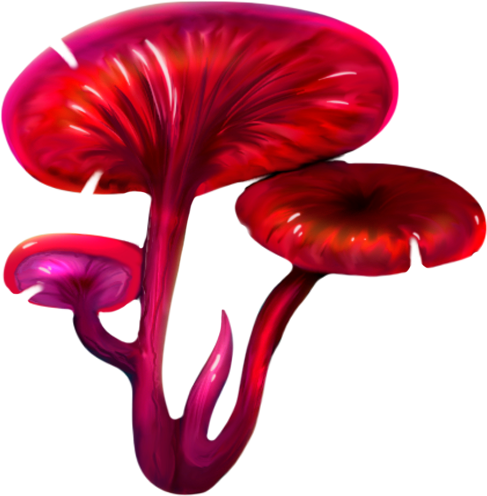 Nyxshroom